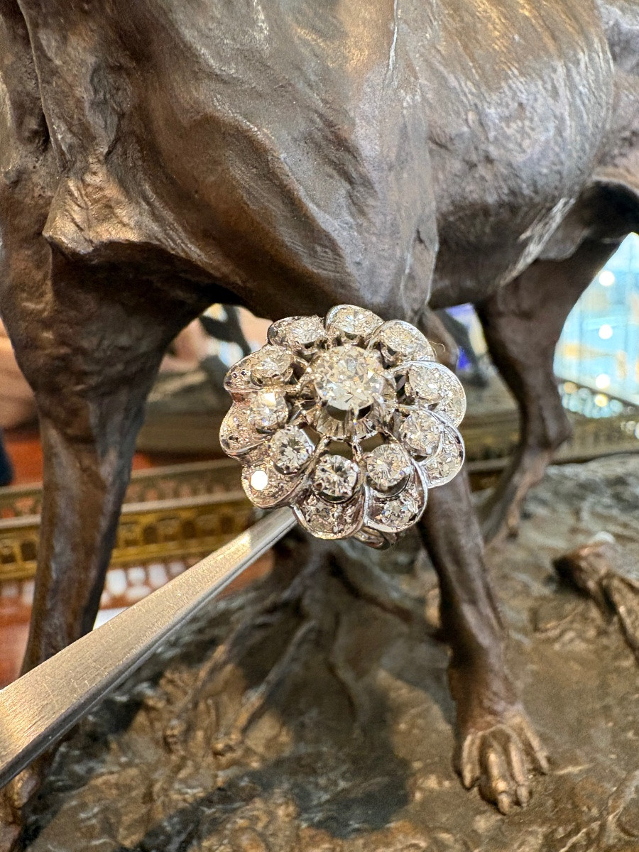 Ring In 750/1000th White Gold And Diamonds.-photo-2