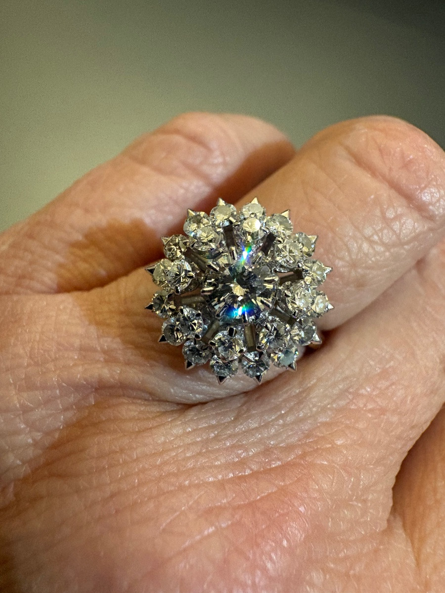 Daisy Ring In 750/1000th White Gold And Diamonds.-photo-1