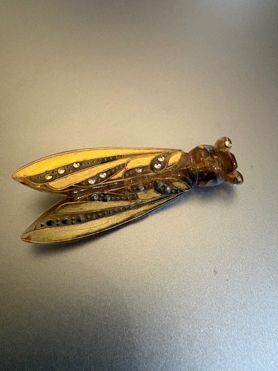 Antique Cicada Brooch In Painted Bakelite, Marcasite And Brass.-photo-2