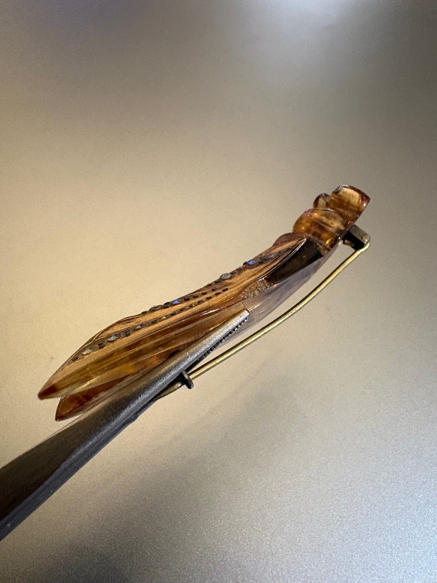 Antique Cicada Brooch In Painted Bakelite, Marcasite And Brass.-photo-3