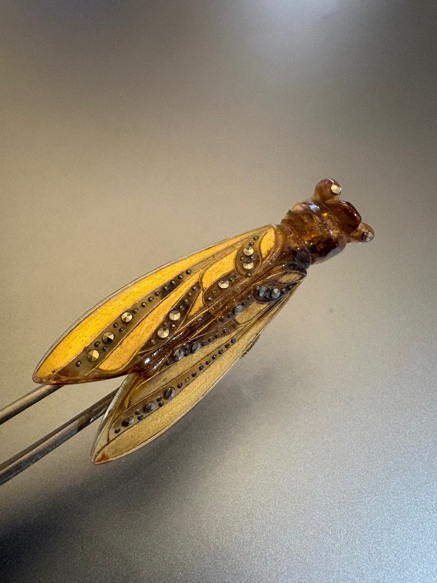 Antique Cicada Brooch In Painted Bakelite, Marcasite And Brass.-photo-1