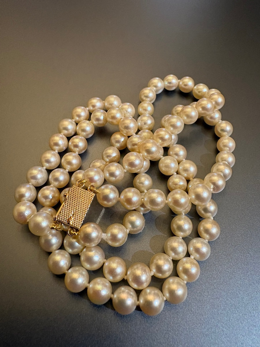 Antique Japanese Cultured Pearl Choker Necklace, Clasp In Yellow Gold 750/1000 Eme-photo-2