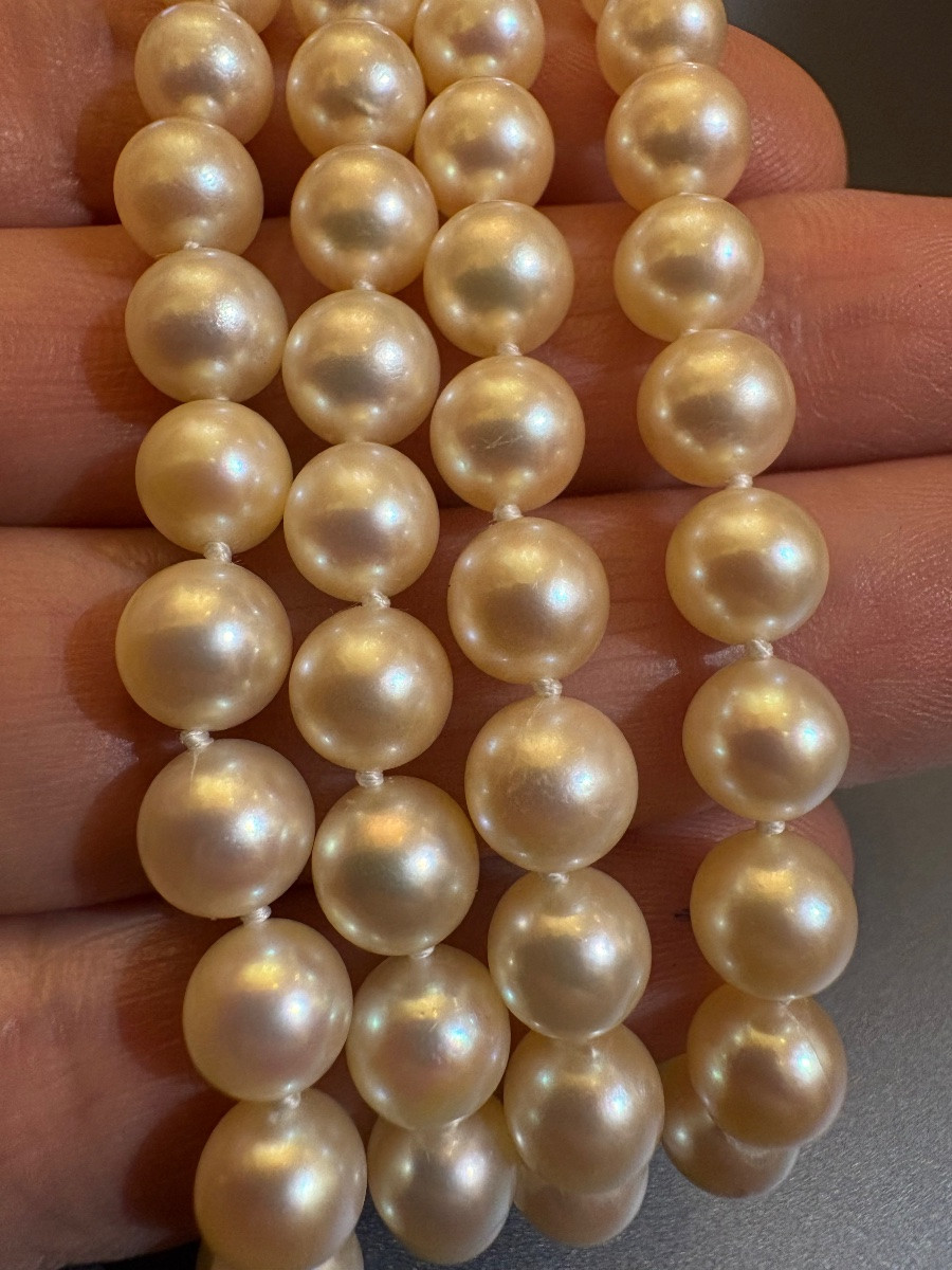 Antique Japanese Cultured Pearl Choker Necklace, Clasp In Yellow Gold 750/1000 Eme-photo-4