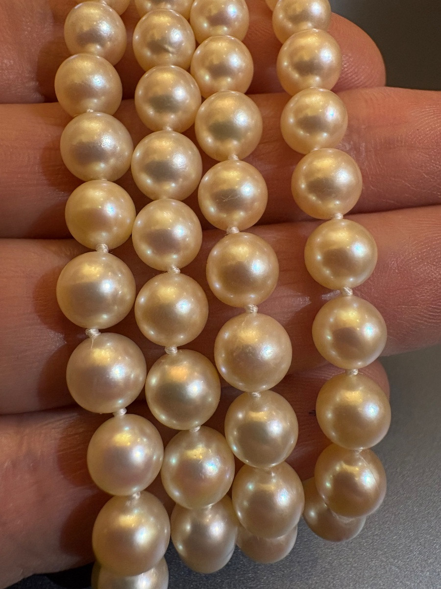 Antique Japanese Cultured Pearl Choker Necklace, Clasp In Yellow Gold 750/1000 Eme-photo-2
