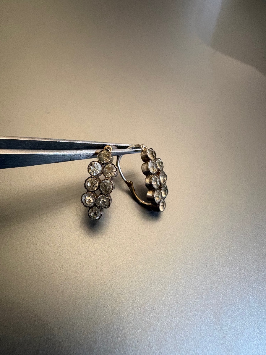 19th Century: Pair Of 800/1000 Silver Earrings (wild Boar).