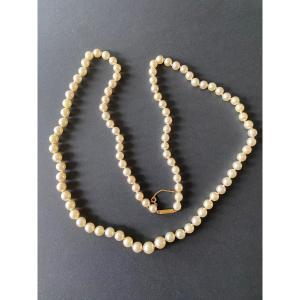 Cultured Pearl Necklace, Gold Clasp