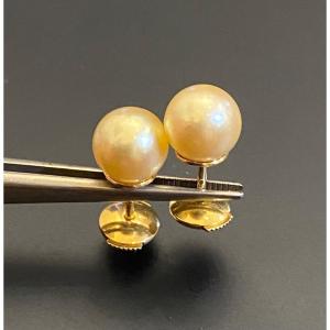 Pair Of Gold And Cultured Pearl Earrings 