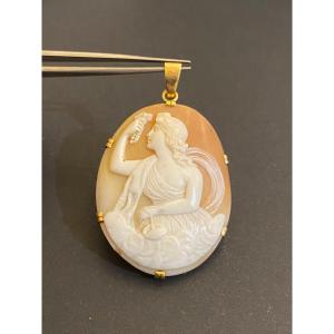 Pendentif Or Et Camee Coquille