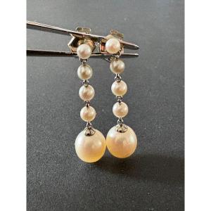 Premiere-Image-1704321