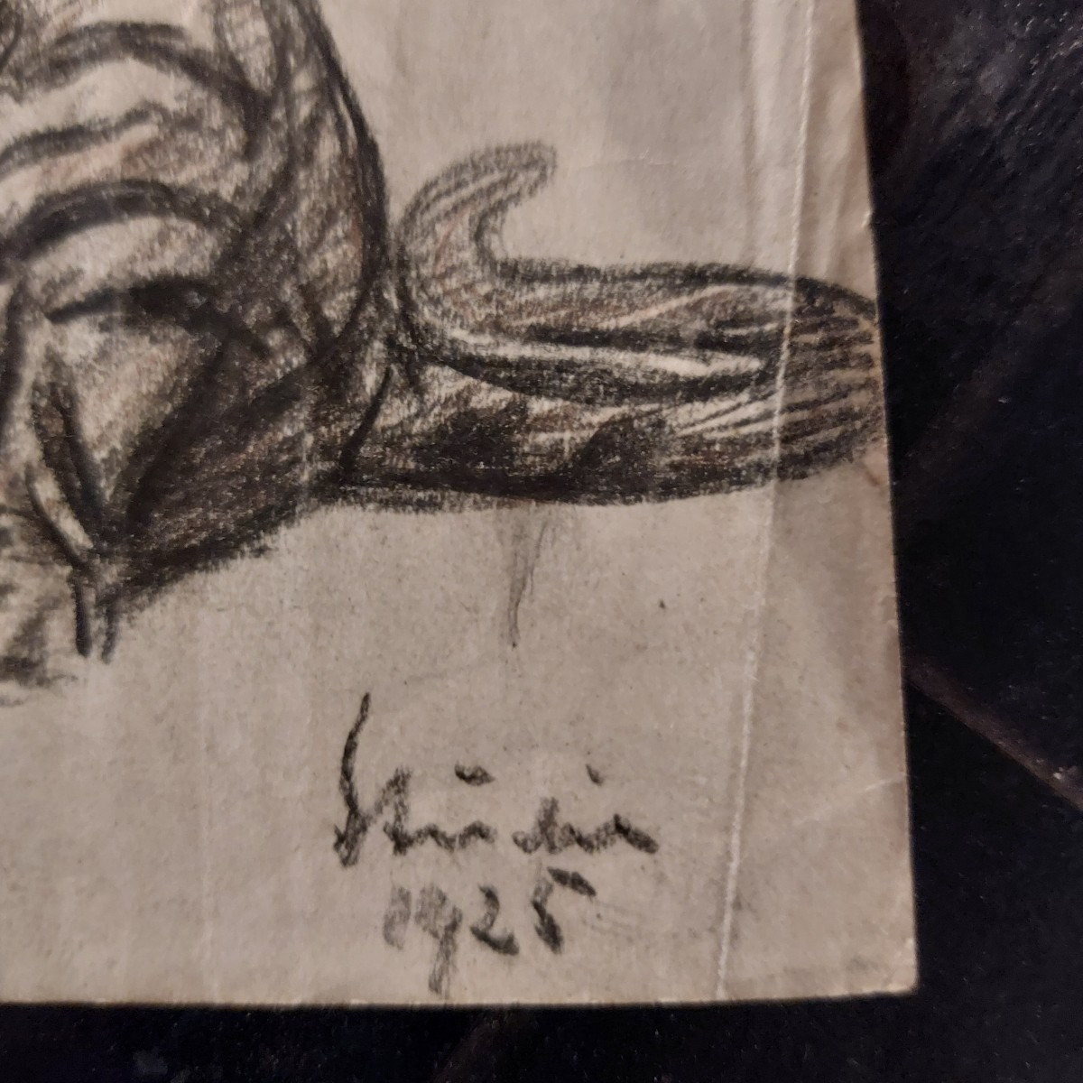 Etude de tigre 20ème -photo-2