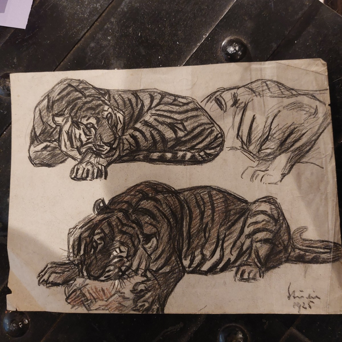 Etude de tigre 20ème 