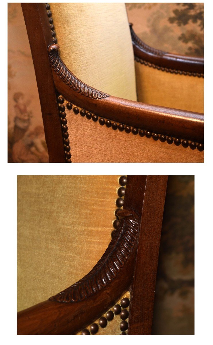 Berg&egrave;re Empire En Acajou  , Pieds Jacob,  D&eacute;cor  De Palmettes Et Chapiteaux Palmiformes. grand fauteuil -photo-4