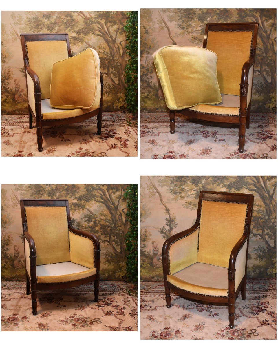 Berg&egrave;re Empire En Acajou  , Pieds Jacob,  D&eacute;cor  De Palmettes Et Chapiteaux Palmiformes. grand fauteuil -photo-7