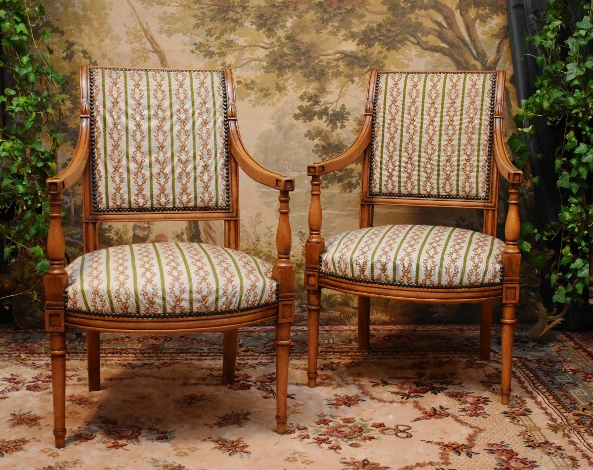 Paire De Fauteuils De Style Directoire, Sièges à Garniture Tapisserie Aux Petits Points,  décor de fleurs  et branchage -photo-3