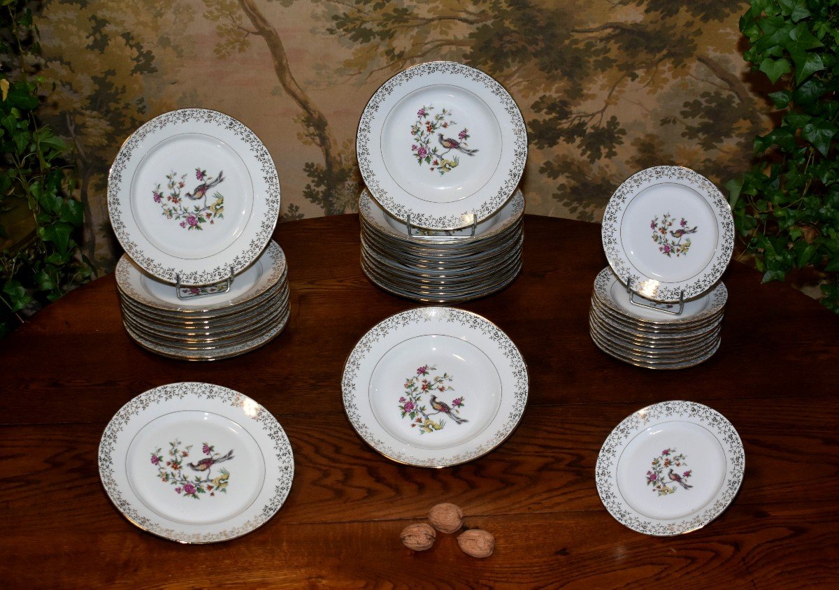 Service Part In Fine Porcelain From Limoges - Vierzon, Bird Of Paradise Decor-photo-4