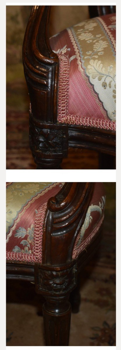 Fauteuil d'époque Louis XVI à Dossier Médaillon , bois naturel , Garniture Refaite,   XVIIIème -photo-4