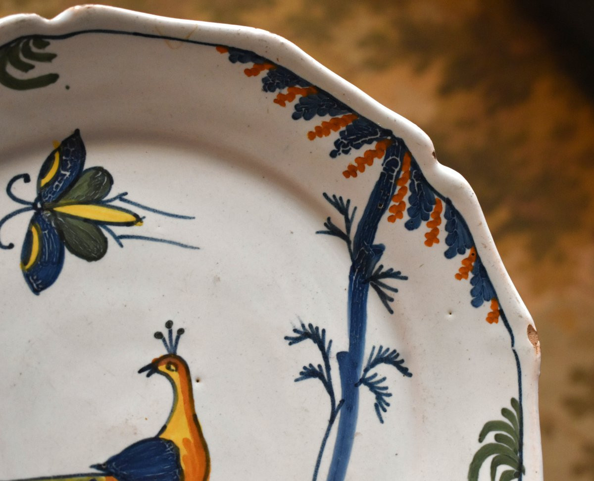 La Rochelle, 18th Century Earthenware Plate, Decorated With Peacock, Insect, Leafy Trees, Fruit-photo-6