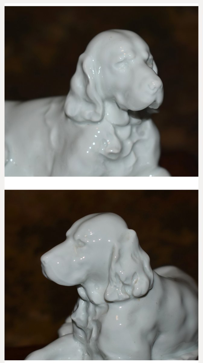 Jules Desbois, White Limoges Porcelain Subject, Hunting Dog Statue By Haviland -photo-5