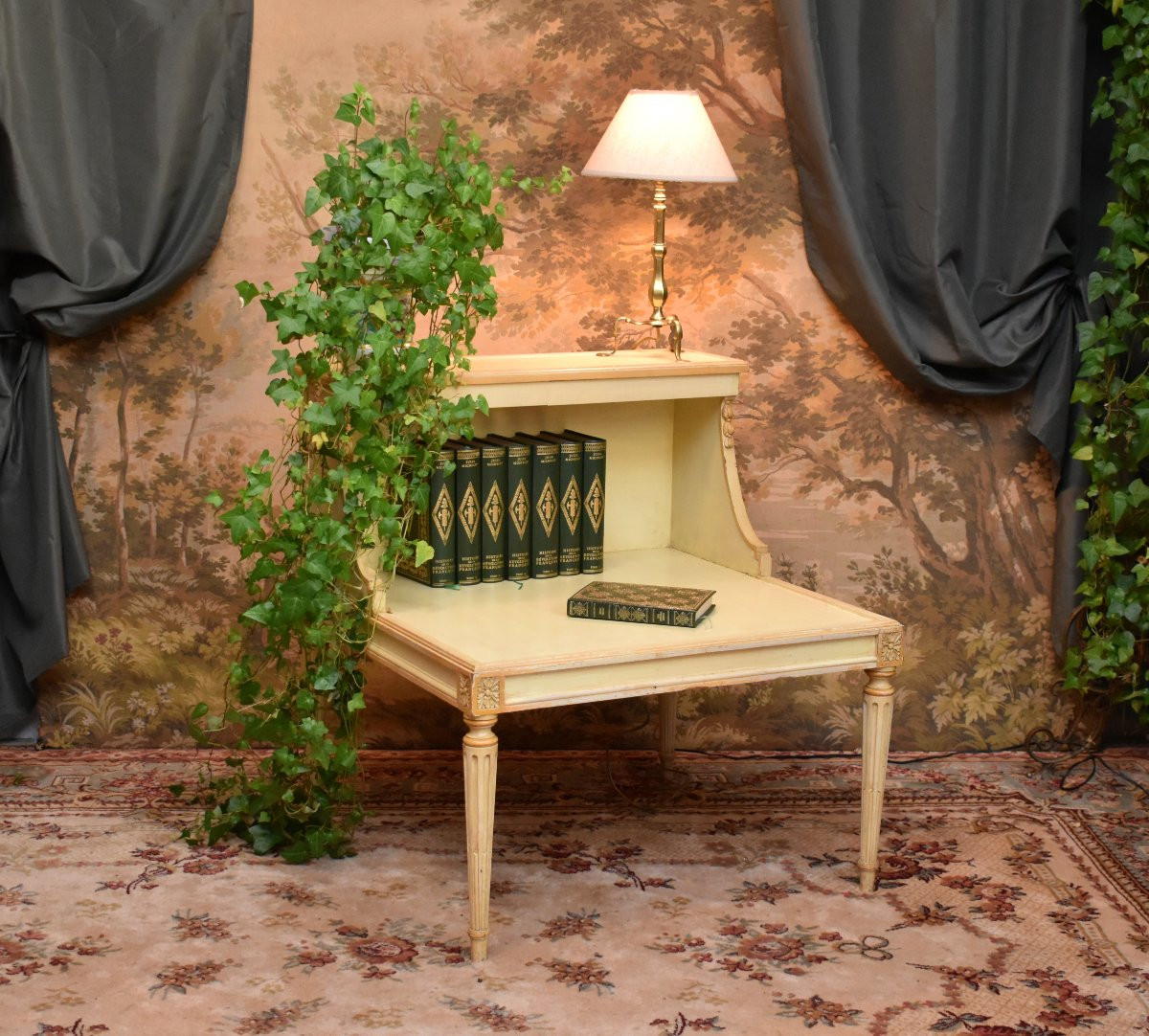  Painted Wooden Bookcase, Side Table, Bedside Table, End Table, Louis XVI Style-photo-2