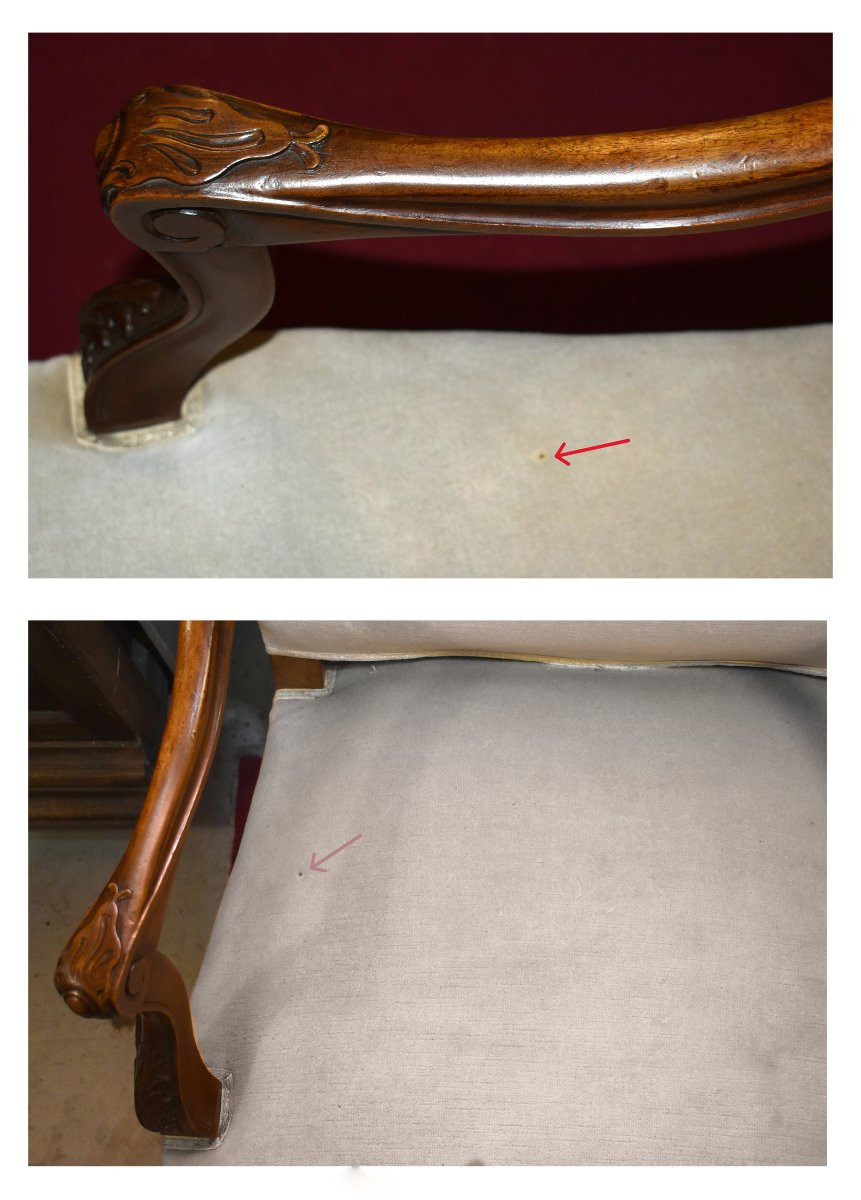 Pair Of Large Regency Style Armchairs With High Backs And Wide Seats, Velvet Fabric, 19th Century-photo-8