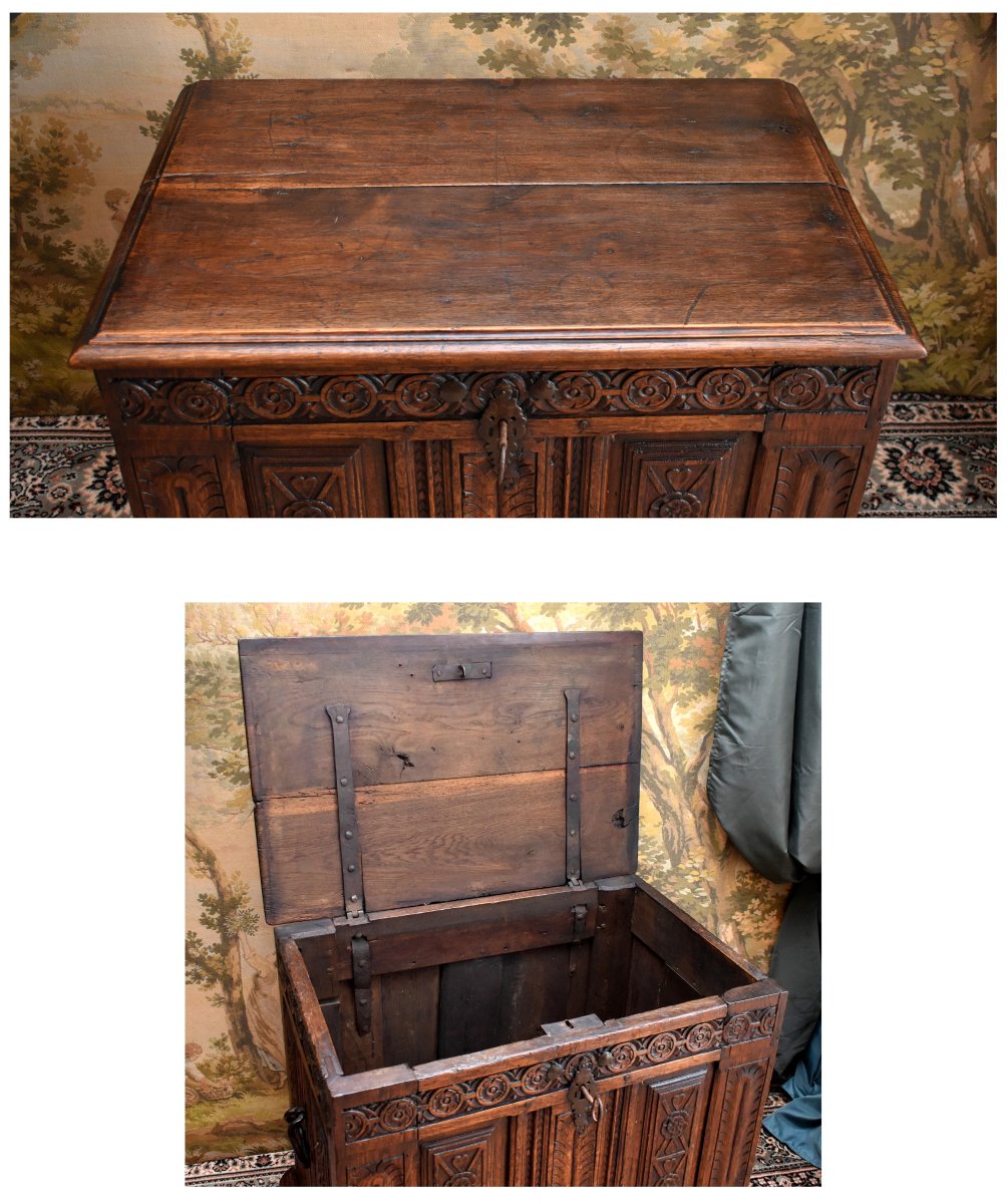 Small Renaissance-style Chest In Carved Oak With Iron Handles, -photo-7