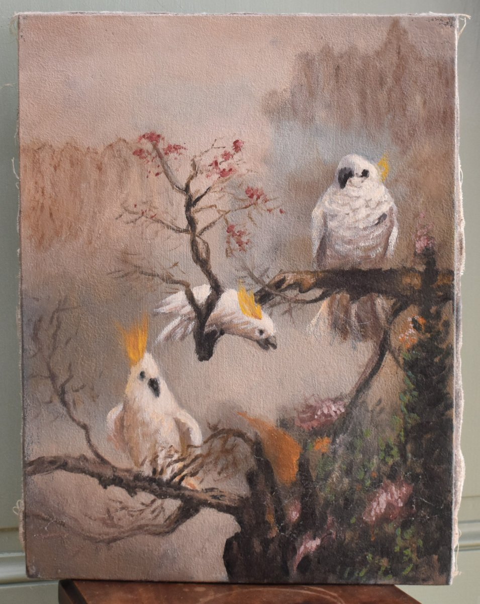 peinture aux trois cacatoès , huile sur toile , 3 oiseaux  perchés .-photo-3