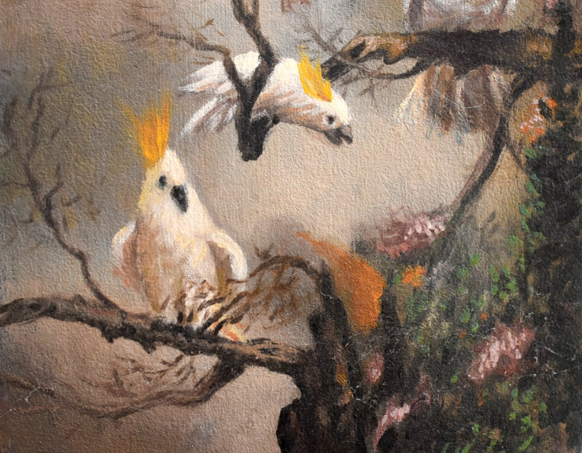 peinture aux trois cacatoès , huile sur toile , 3 oiseaux  perchés .-photo-4