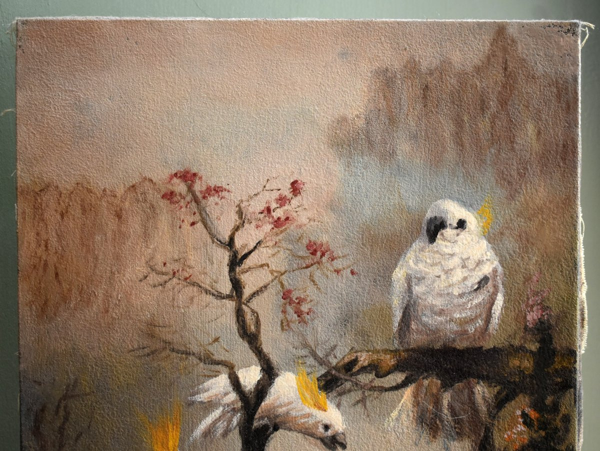 peinture aux trois cacatoès , huile sur toile , 3 oiseaux  perchés .-photo-1