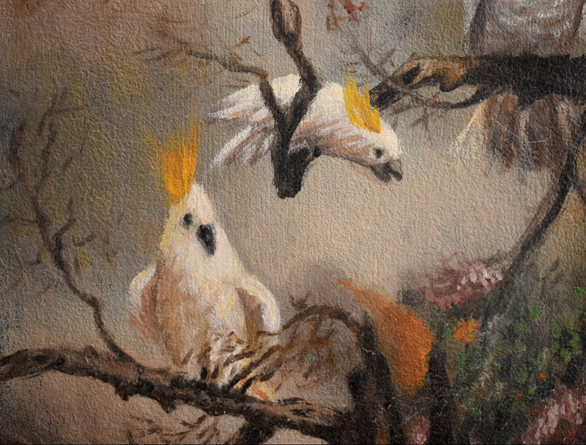 peinture aux trois cacatoès , huile sur toile , 3 oiseaux  perchés .-photo-2
