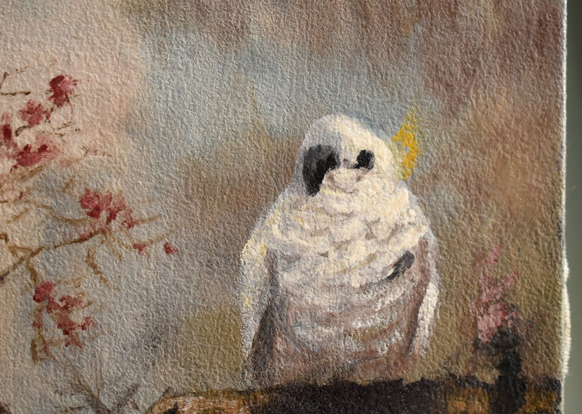 peinture aux trois cacatoès , huile sur toile , 3 oiseaux  perchés .-photo-5