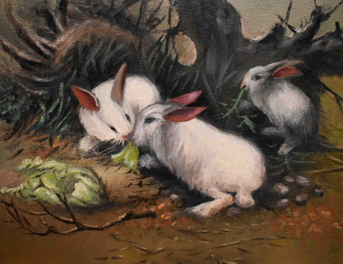 Three Rabbits Painting , Oil On Canvas , Farm Animals-photo-1
