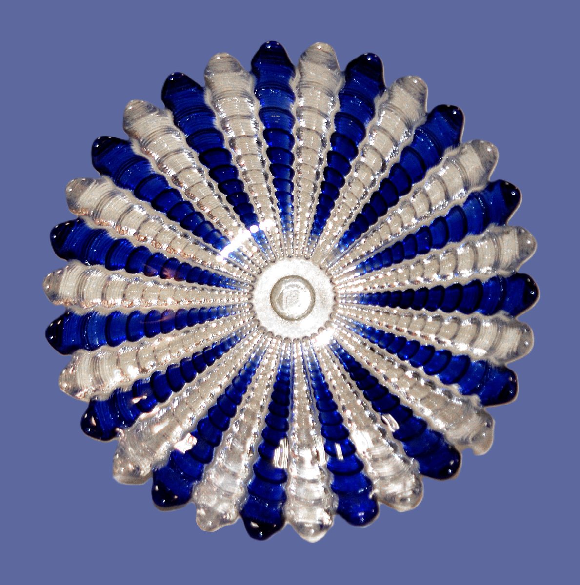 Grande coupe  en cristal  de couleur blanc et bleu Sur Pied Douche , centre de table bicolore-photo-2
