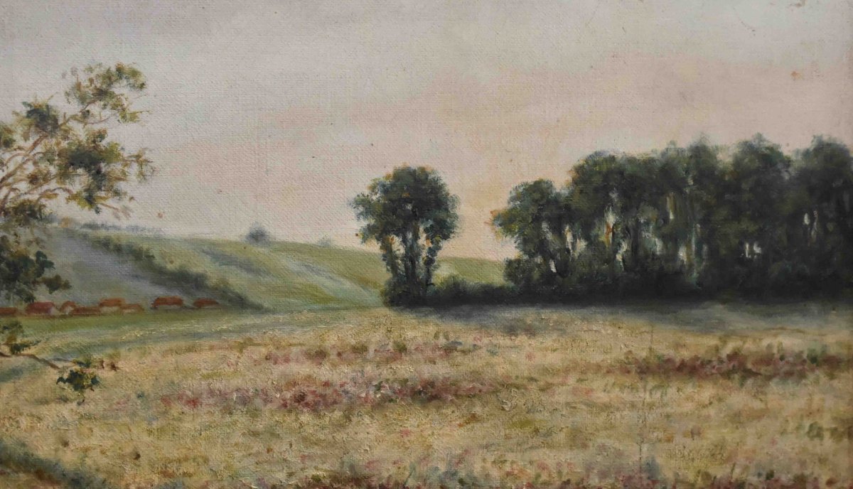 Country Landscape Painting, Springtime Rural Scene, Fields And A Plow-photo-4
