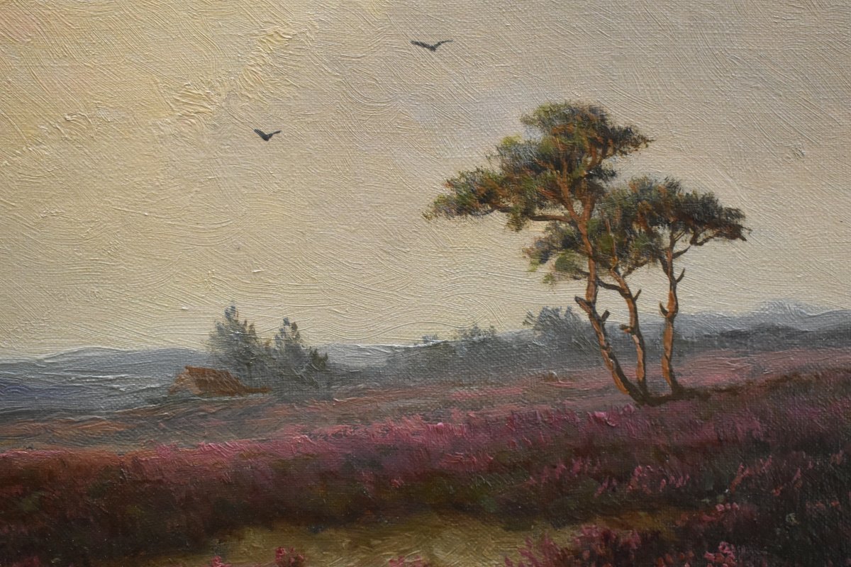 Thomas Van Wissen tableau champêtre , paysage de campagne , champs de bruyères , -photo-5