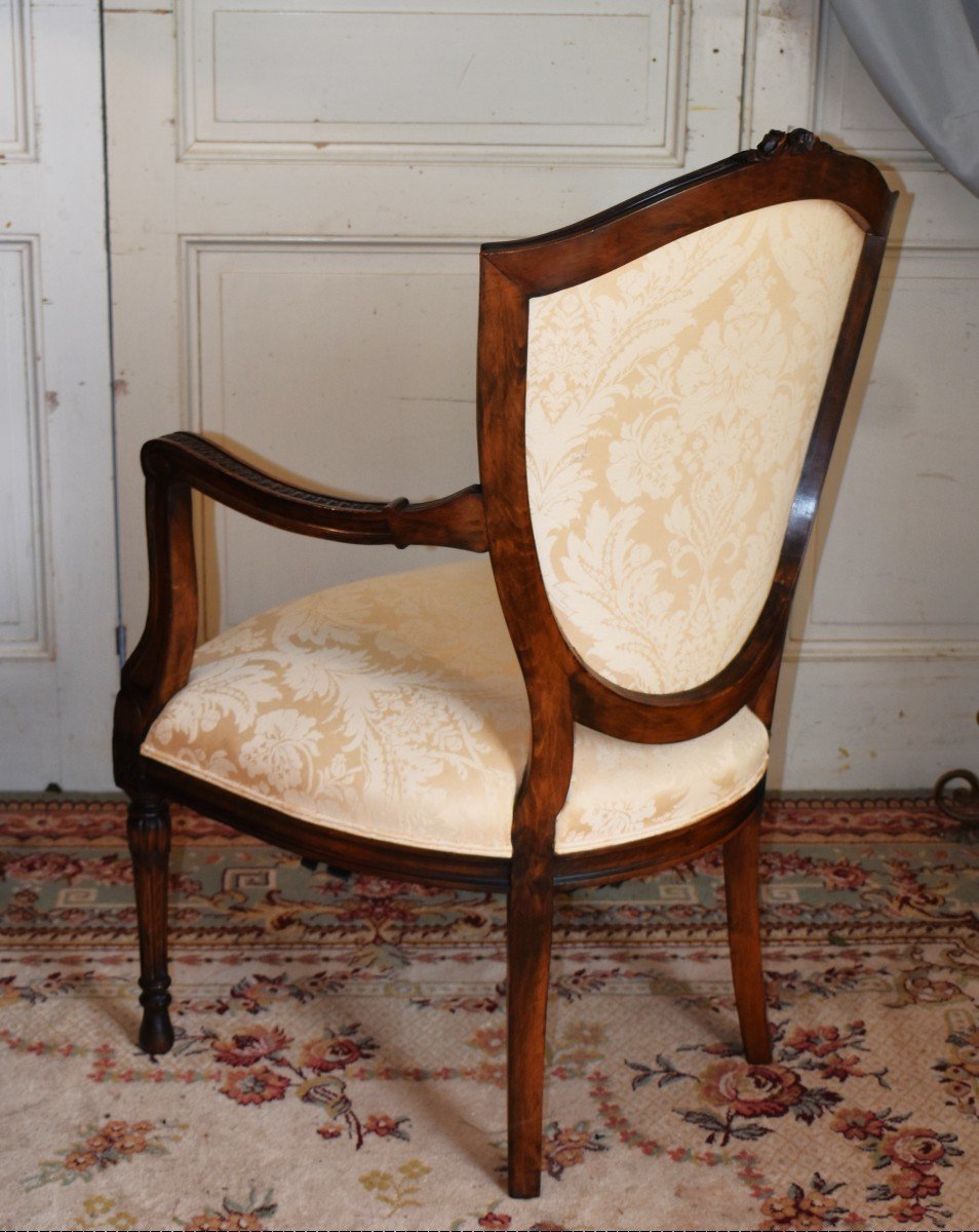 Neoclassical English Armchair Robert Adam Style, Crest Or Shield Backrest, England.-photo-4