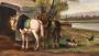 1652839-69186efd91bed.jpg