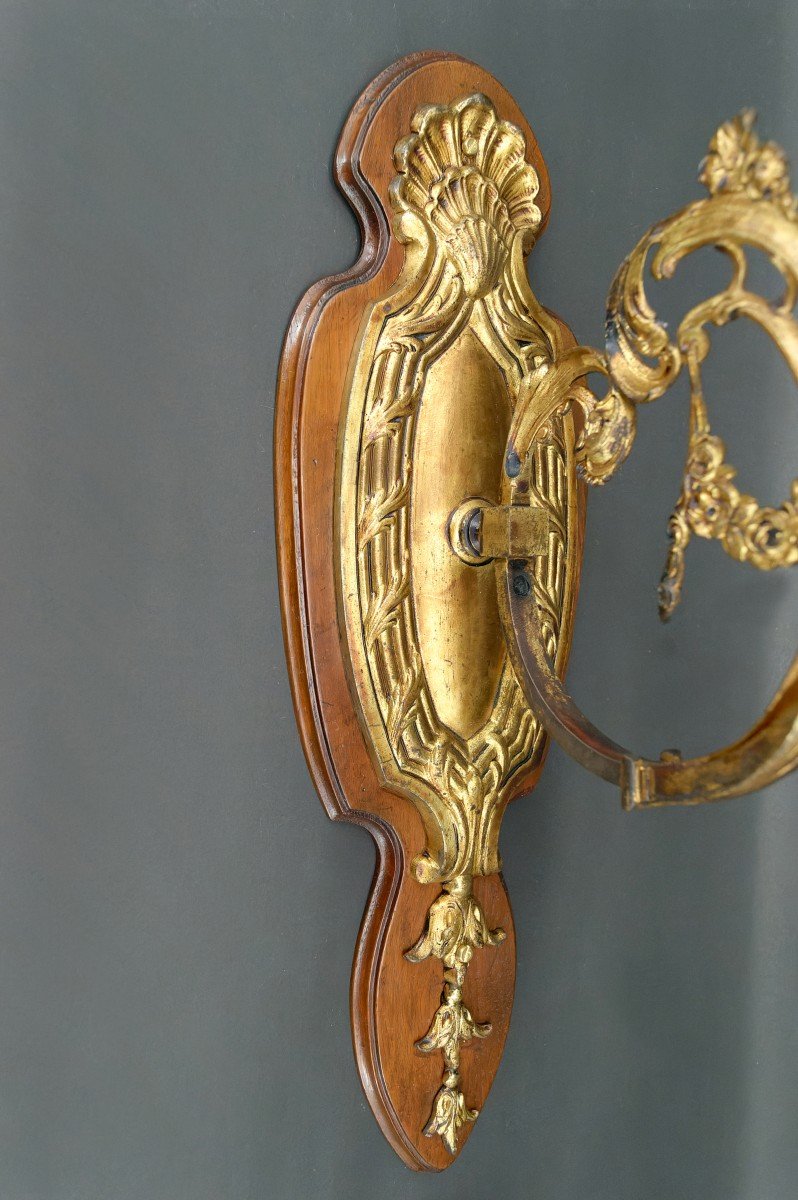 Pair Of Rococo / Louis XV Wall Lamps In Gilt Bronze, Walnut Bases And Glass Tulips, France,-photo-6