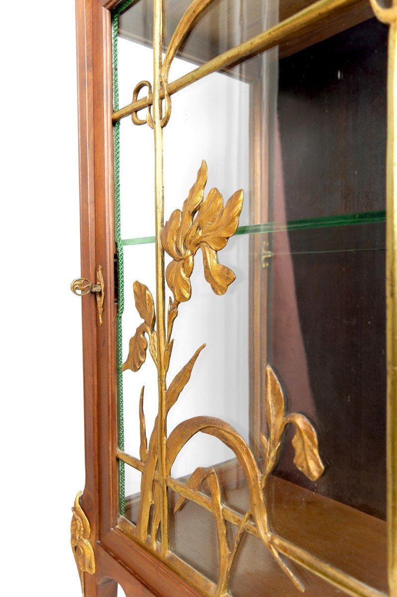 Art Nouveau Display Cabinet, Gilded Bronzes On A Floral Theme, France, Circa 1900-photo-5
