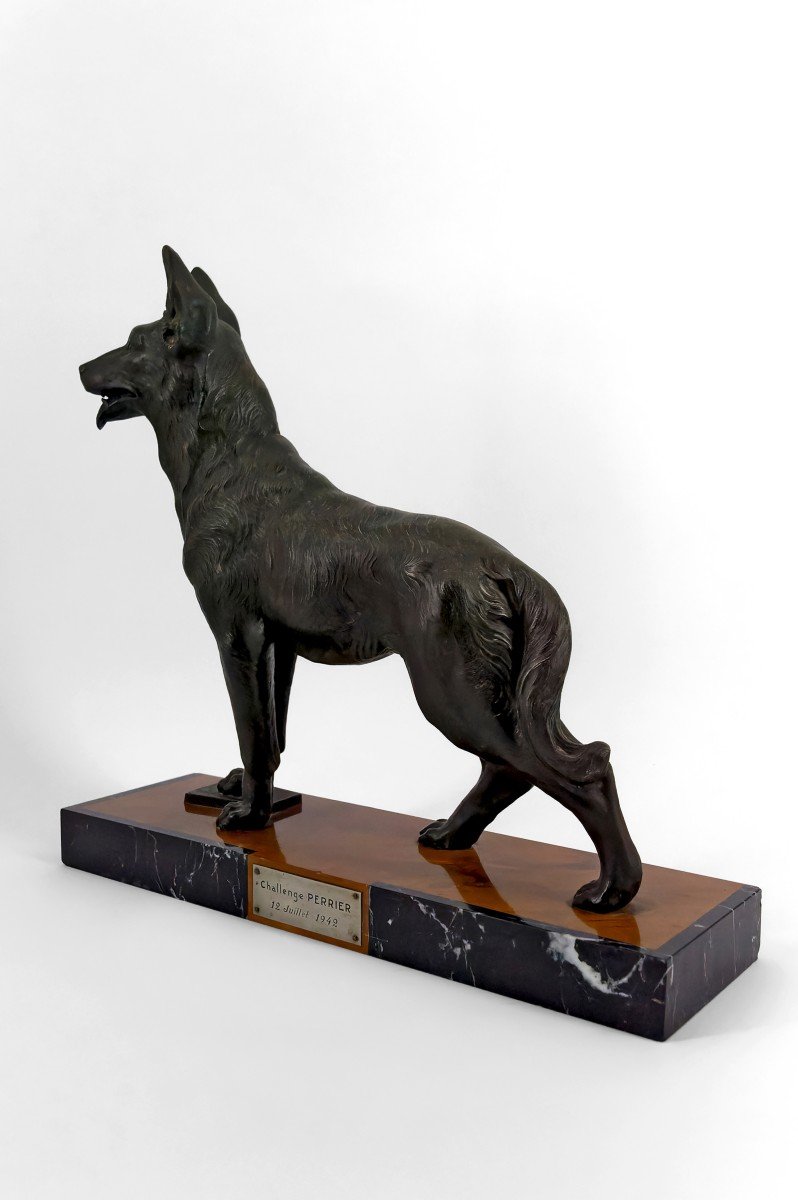 Important Sculpture Representing A German Shepherd, Trophy For The Perrier Challenge, 1942-photo-4