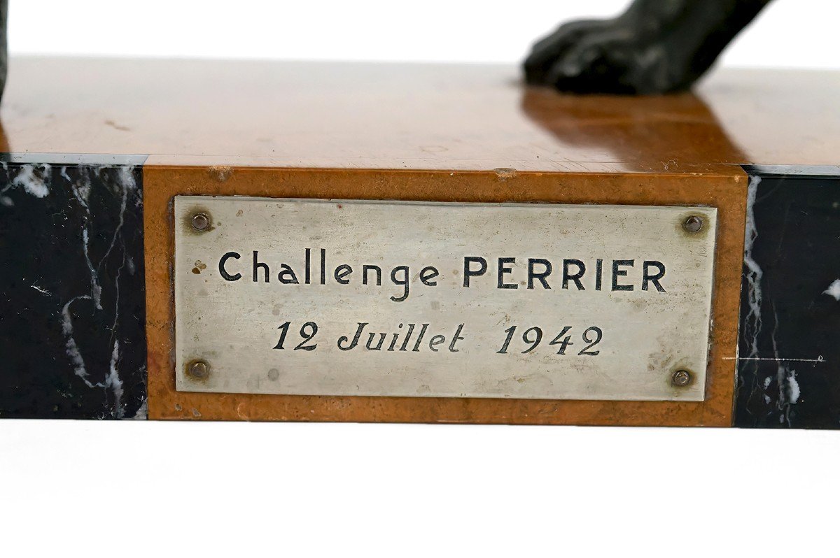 Important Sculpture Representing A German Shepherd, Trophy For The Perrier Challenge, 1942-photo-8