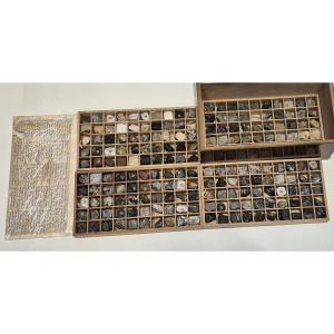 Mineral Collection, C. 1880