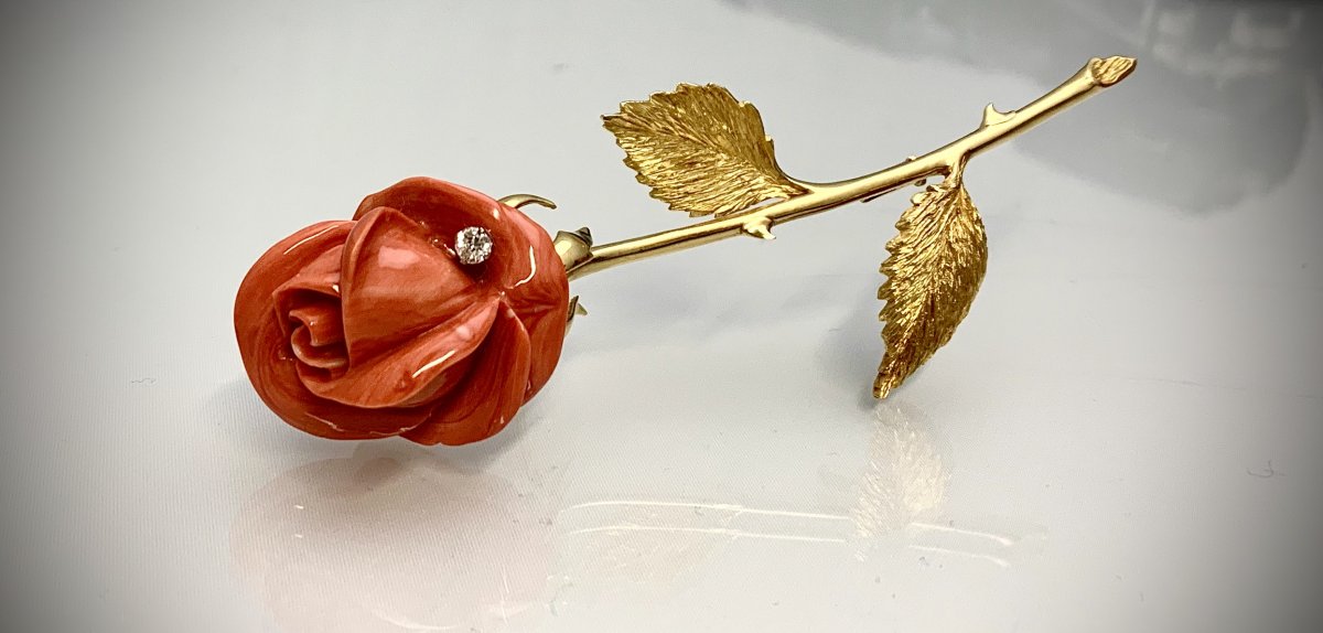 Broche Corail 1960. 