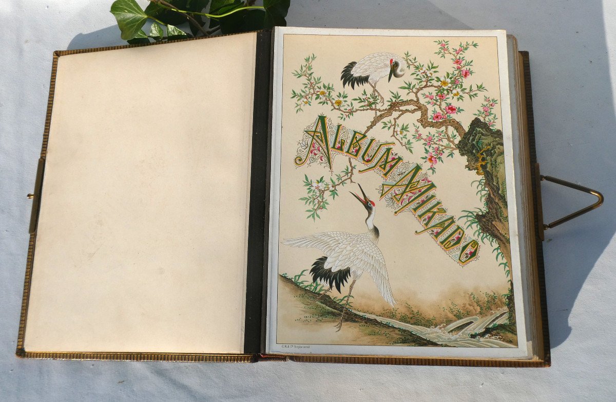 Album Photographique , Photos XIXe Style Napoléon III , Décor d'Insectes Japonisant Art Nouveau-photo-1
