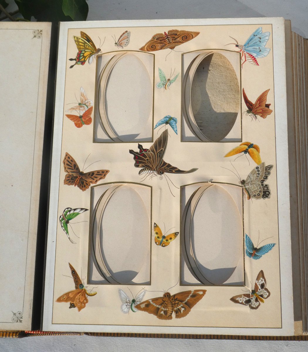 Album Photographique , Photos XIXe Style Napoléon III , Décor d'Insectes Japonisant Art Nouveau-photo-3