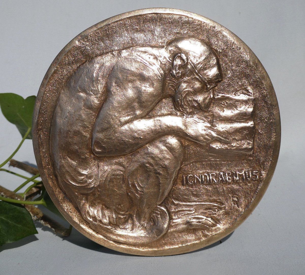 Grande Medaille En Bronze , Singe à La Lecture Ignorabimus Henry Griffith & Sons Napoléon III , Darwin xixe-photo-2