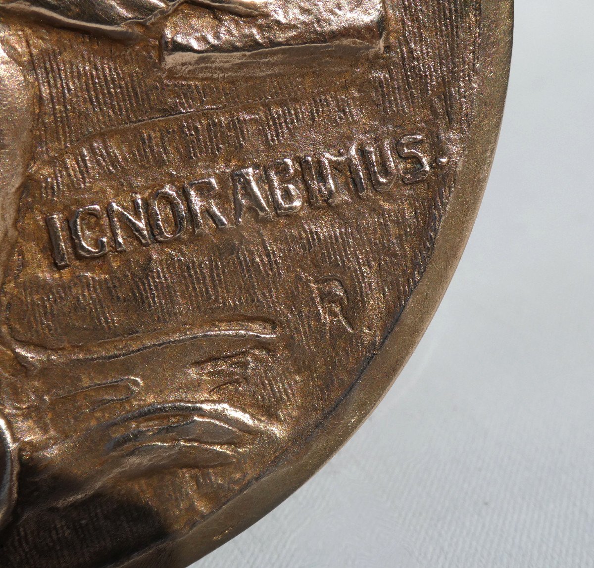 Grande Medaille En Bronze , Singe à La Lecture Ignorabimus Henry Griffith & Sons Napoléon III , Darwin xixe-photo-4