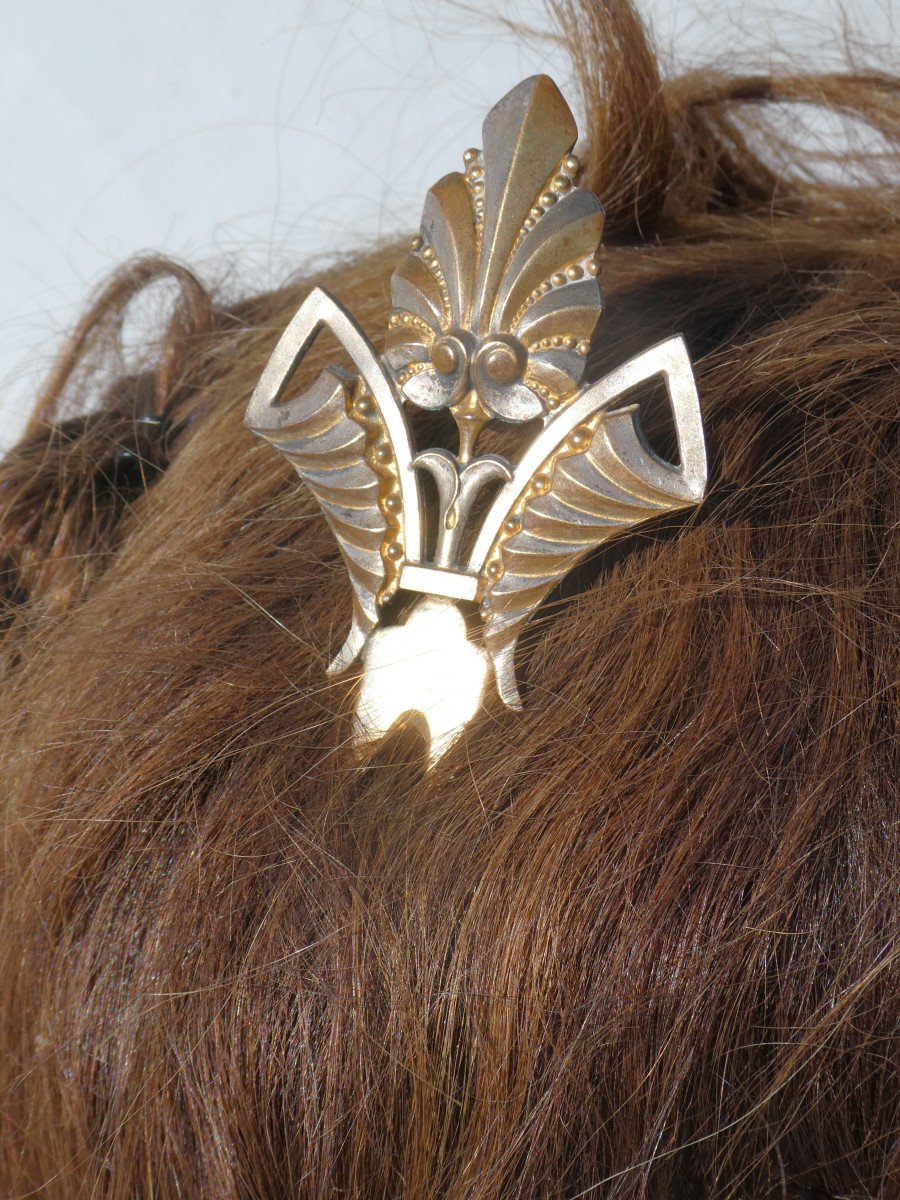 Hair Comb 1880 Napoleon III Hair Jewel, Silver Metal Double Patina, Nineteenth-photo-2