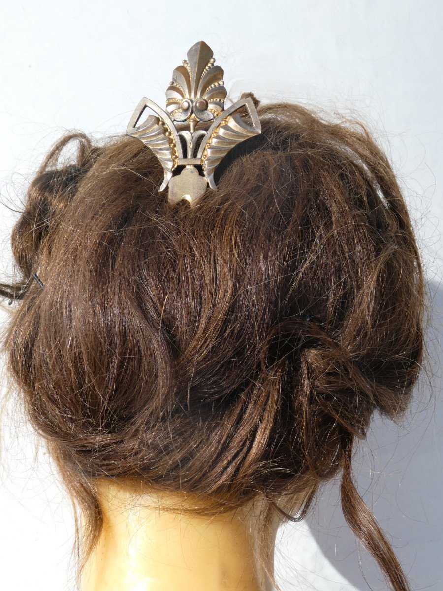 Hair Comb 1880 Napoleon III Hair Jewel, Silver Metal Double Patina, Nineteenth-photo-4