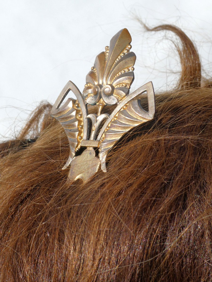 Hair Comb 1880 Napoleon III Hair Jewel, Silver Metal Double Patina, Nineteenth-photo-1