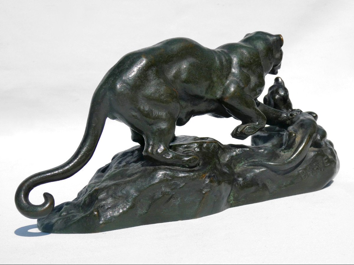 Sculpture Animaliere Bronze Patiné d'Aprés Antoine Louis Barye , Panthere Surprenant Un Zibeth -photo-3